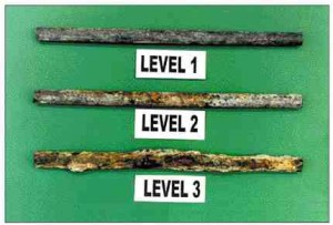 Rebar samples representing different levels of corrosion observed.