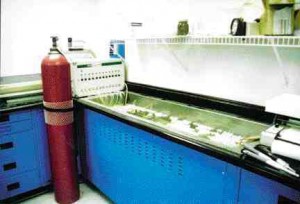 Respirometric system, with water bath containing reactors and plastic ball insulation, connectors to individual reactors, oxygen tank and temperature control unit.