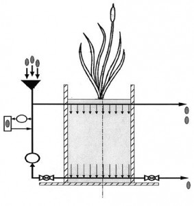 Schematic section of the wetland test unit. Nutrients, dilution water and tracers are combined with recirculation water and distributed through a perforated pipe. Water flows down through the gravel bed.