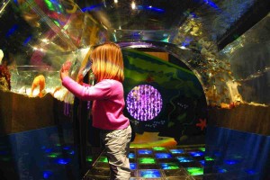 A child enjoys the fishes in the new Aquaquest learning centre.