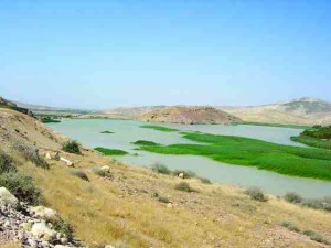 Top: the Fergoug reservoir located in western Algeria is filled with sediments and overrun with aquatic plants.