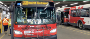 OC Transpo buses